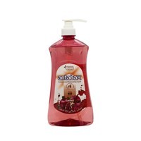 Моющее средство Antabax Premium "Гранат" 1,1 л